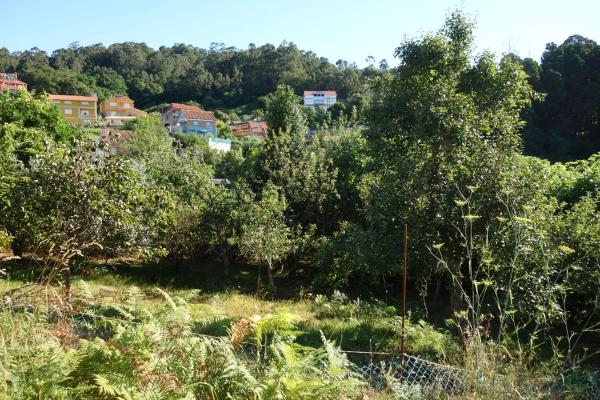 Terreno en Coiro