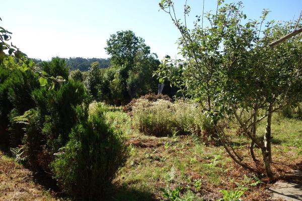 Terreno en Coiro