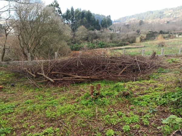 Terreno en Lugar Sabaceda, 68