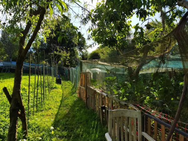 Terreno en subida barriada de mogor, 173