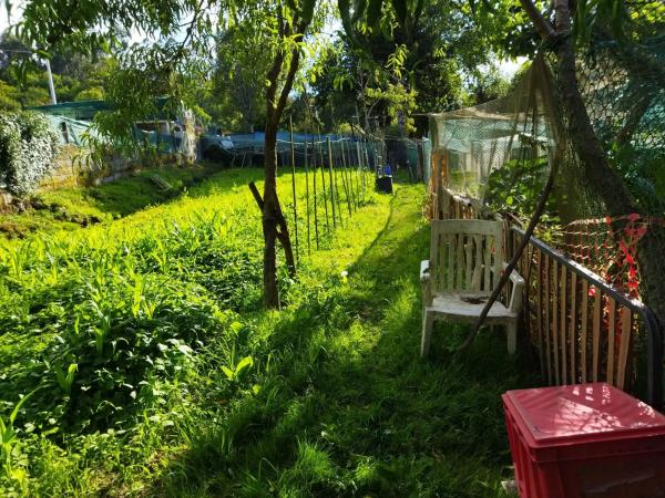 Terreno en subida barriada de mogor, 173