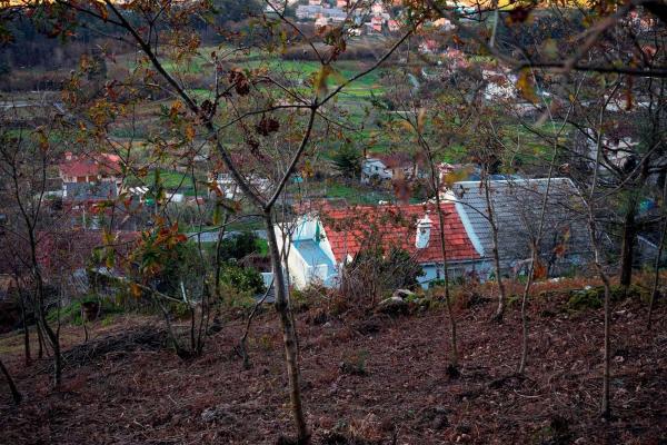 Terreno en Poblado Moreira, 1