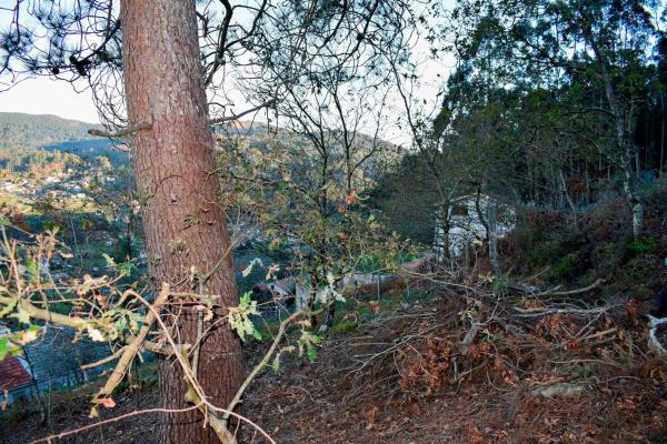 Terreno en Poblado Moreira, 1