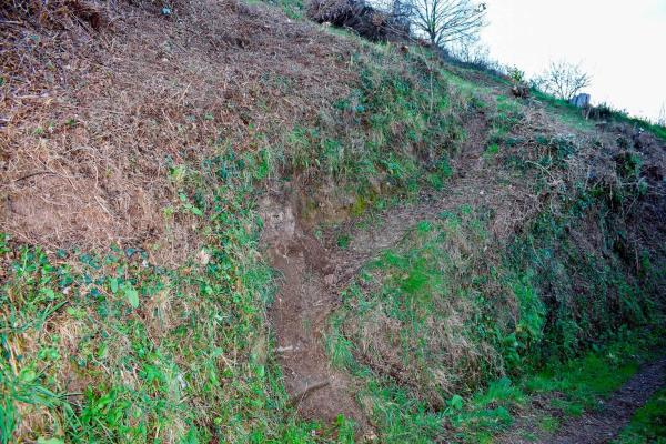 Terreno en Poblado Moreira, 1