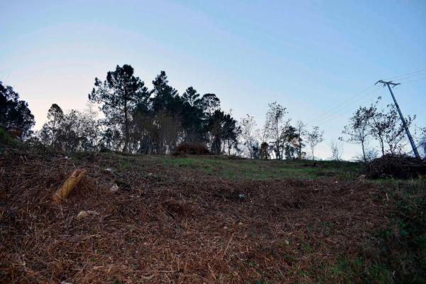 Terreno en Poblado Moreira, 1