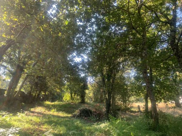 Terreno en carretera Caldas - Vilanoviña (ep-8004), km 14