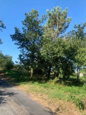 Terreno en carretera Caldas - Vilanoviña (ep-8004), km 14
