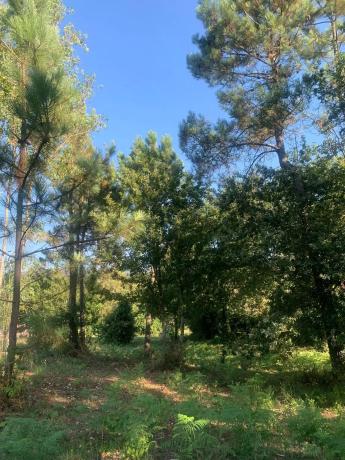 Terreno en carretera Caldas - Vilanoviña (ep-8004), km 14