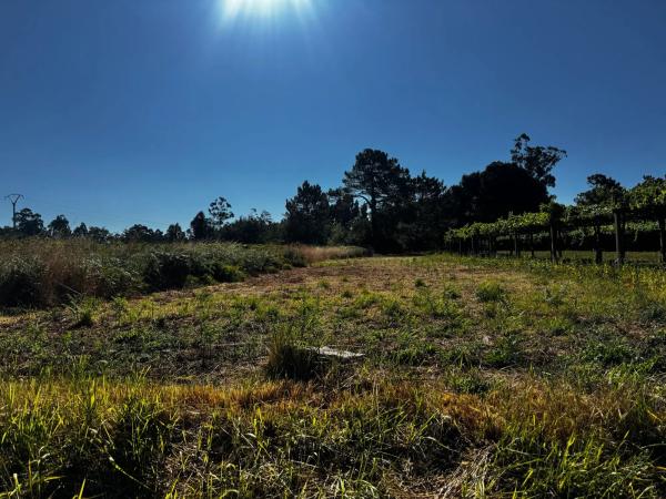 Terreno en río pequeño