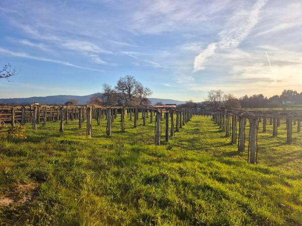 Terreno en Lugar Mouxan, 1