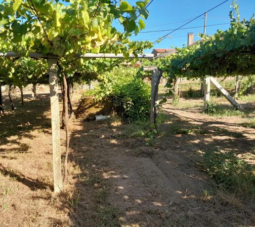 Terreno en calle Rabadeiro, 2