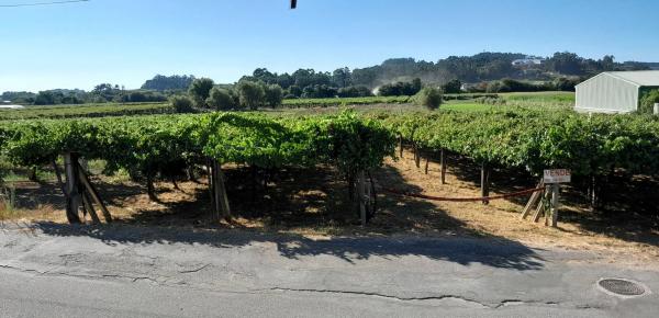 Terreno en calle Rabadeiro, 2