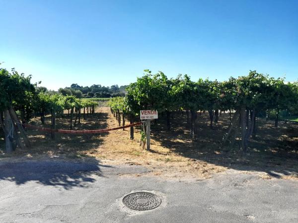 Terreno en calle Rabadeiro, 2