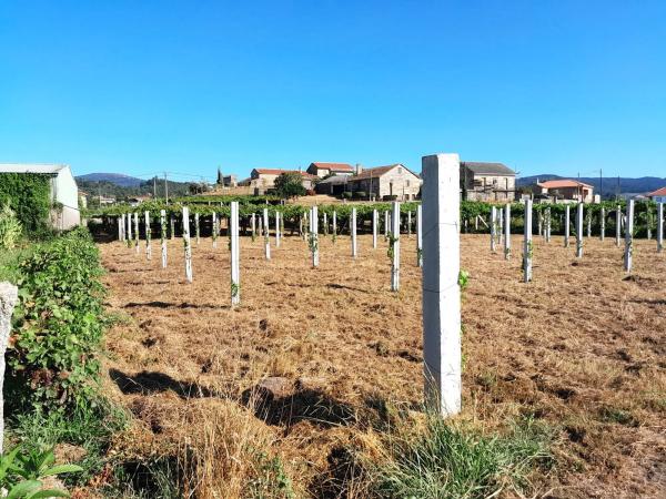 Terreno en calle Rabadeiro, 2