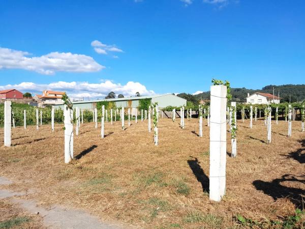 Terreno en calle Rabadeiro, 2