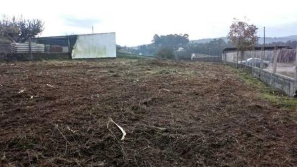 Terreno en calle Torre