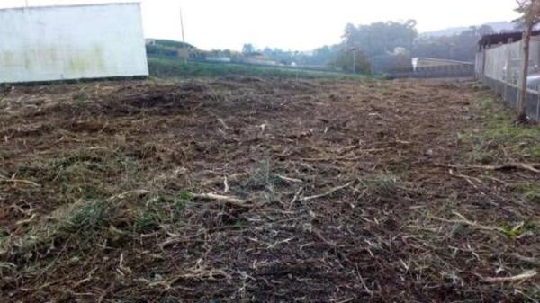 Terreno en calle Torre