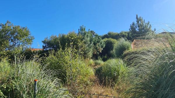 Terreno en Lugar Bouza-Gondar, 3