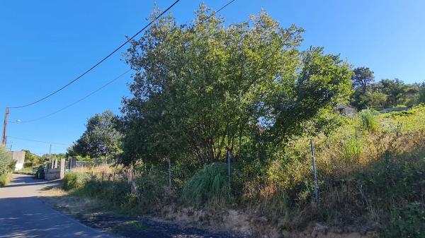 Terreno en Lugar Bouza-Gondar, 3