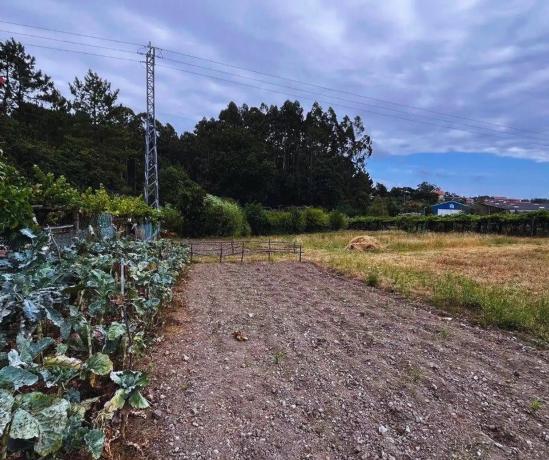 Terreno en calle de Galicia
