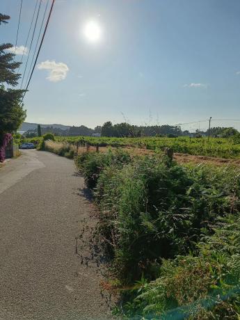 Terreno en Aldea a Revolta, 15 a