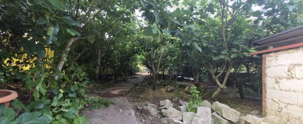 Terreno en calle Reboredo s/n Sn