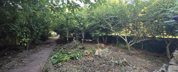 Terreno en calle Reboredo s/n Sn