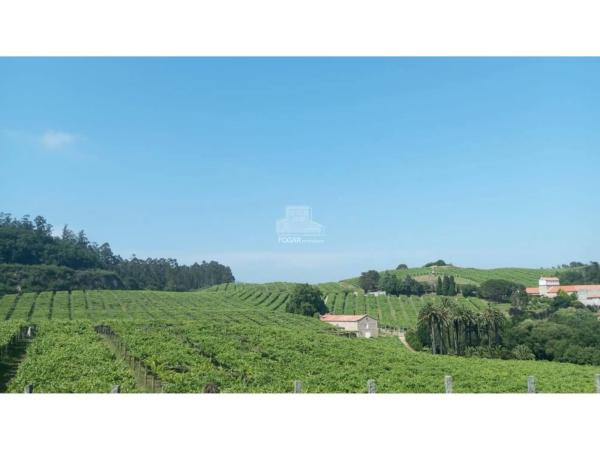 Terreno en calle Paderne - Poligono 5