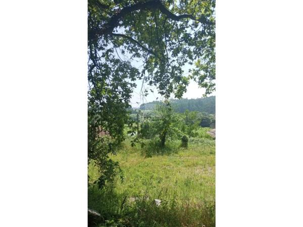 Terreno en calle Paderne - Poligono 5