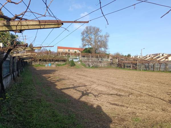 Terreno en camino da Pedreira, 1