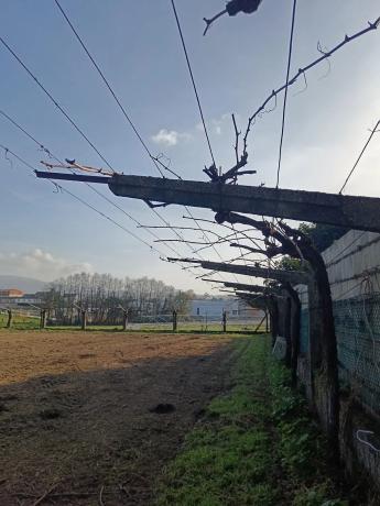 Terreno en camino da Pedreira, 1