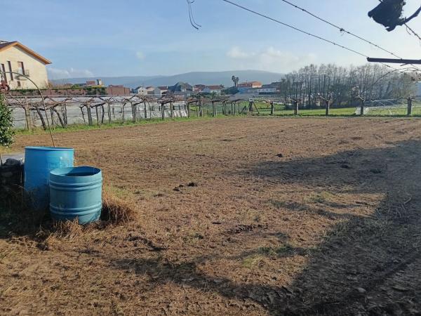 Terreno en camino da Pedreira, 1