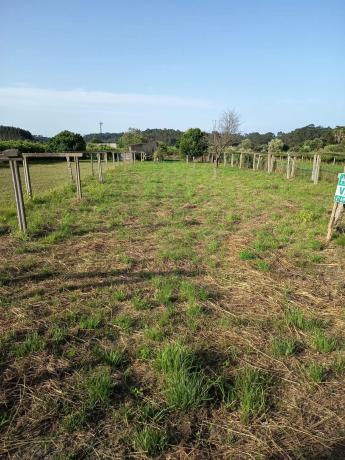 Terreno en Sobrán