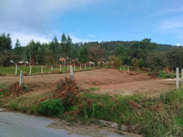 Terreno en lamela s/n