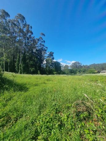 Terreno en Lugar a Valboa, 19