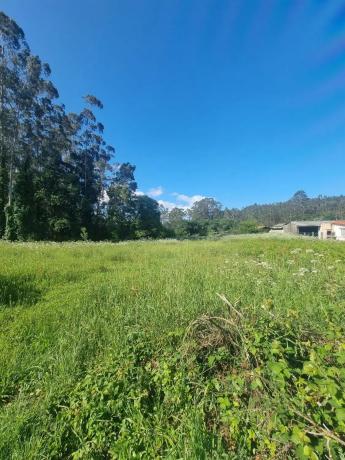 Terreno en Lugar a Valboa, 19