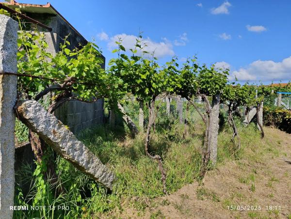 Terreno en calle Ribeira De Mouta s/n