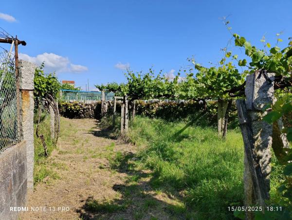 Terreno en calle Ribeira De Mouta s/n