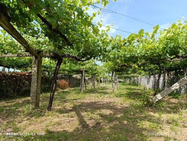 Terreno en calle Ribeira De Mouta s/n