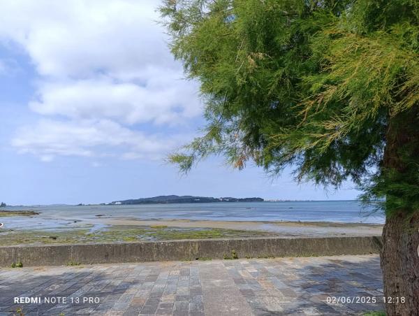 Terreno en calle Ribeira De Mouta s/n