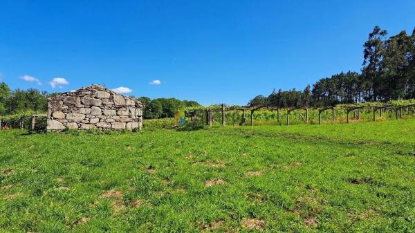 Terreno en Meaño