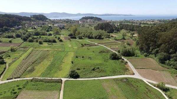 Terreno en Lugar Barreiro, 41