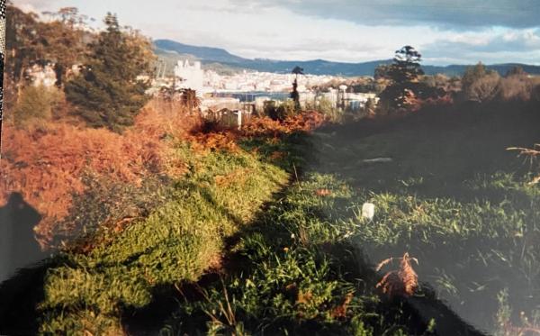 Terreno en calle Estivadas, 12