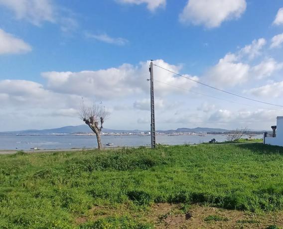 Terreno en calle da Viña Tinta