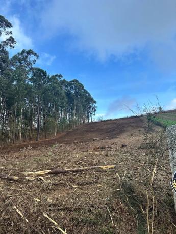 Terreno en As quintans s/n