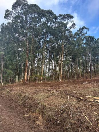 Terreno en As quintans s/n