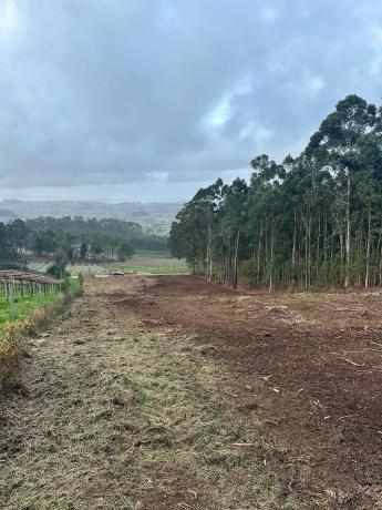 Terreno en As quintans s/n
