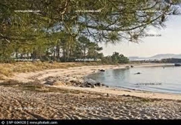 Terreno en camino da franqueira, 30