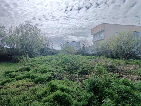 Terreno en cálago s/n