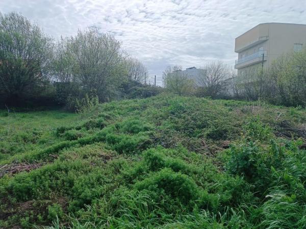 Terreno en cálago s/n